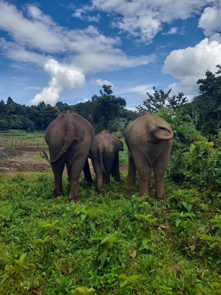 This image has an empty alt attribute; its file name is 20220801_143055.jpg